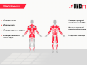 Силовой комплекс UNIX Fit BLOCK 50, Вес стека 50 кг